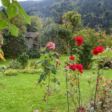 Cozy Apartment In Vandans With Shared Terrace Apartment *